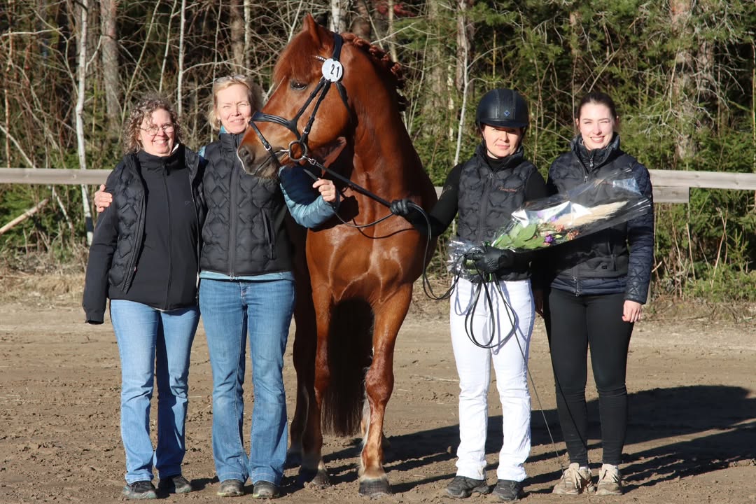 Suomenhevosliitto ry