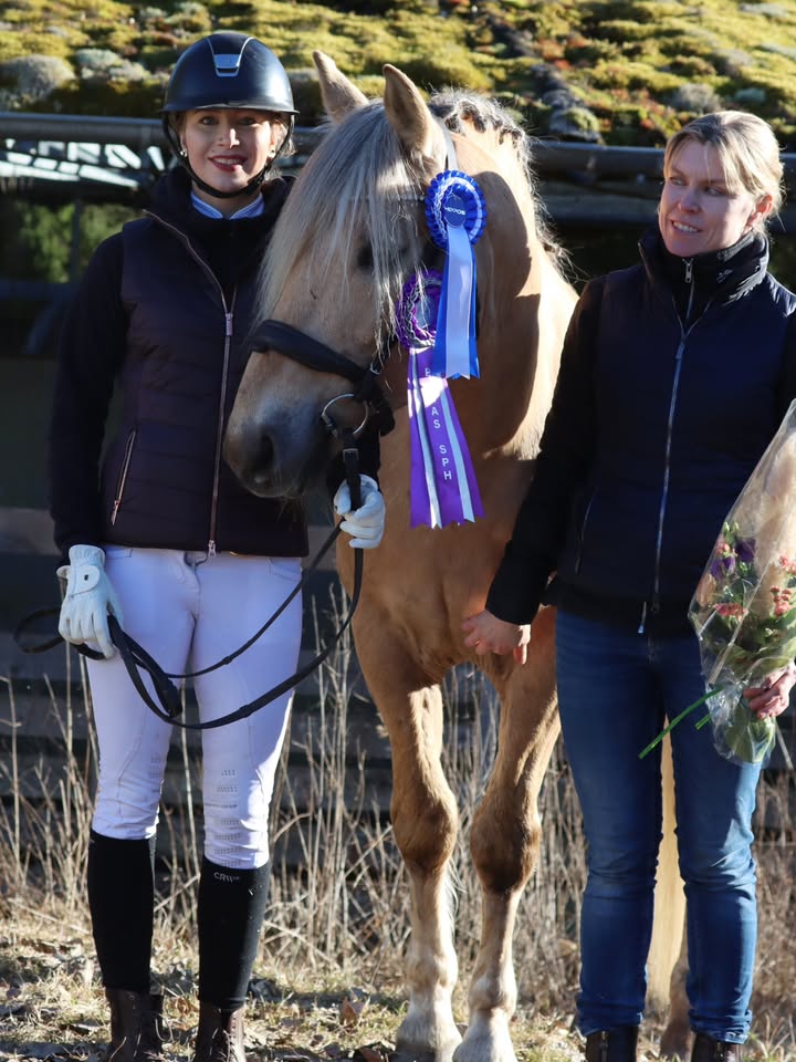 Suomenhevosliitto ry