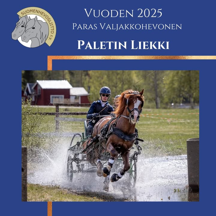 Suomenhevosliitto ry