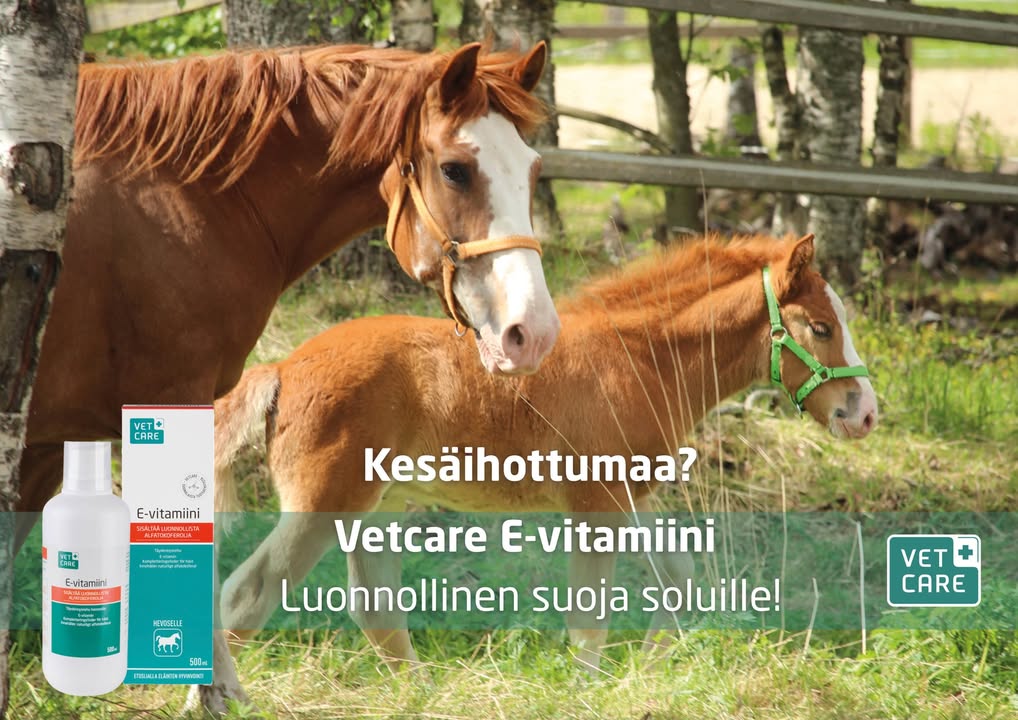 Suomenhevosliitto ry