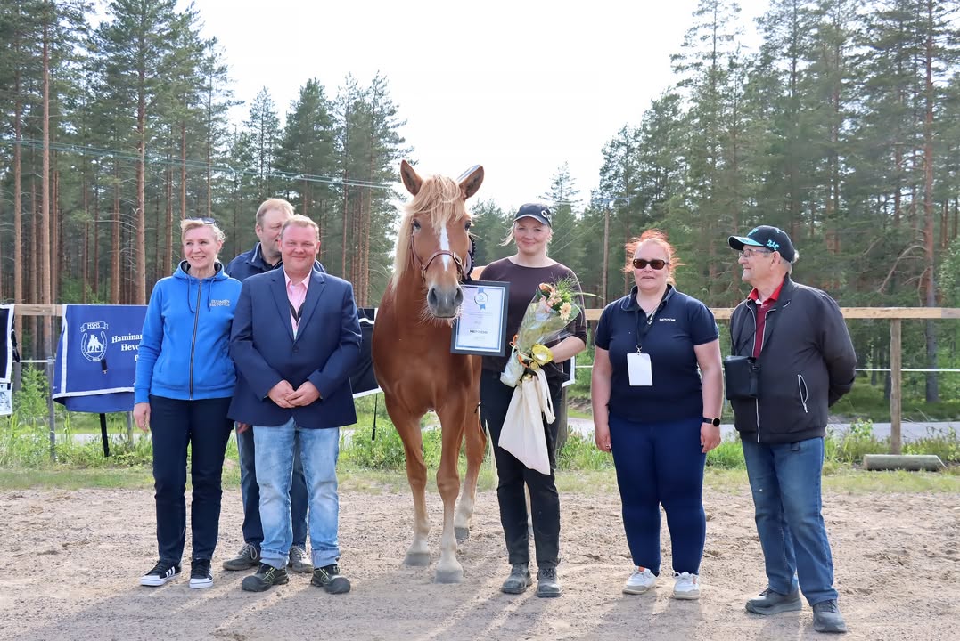 Suomenhevosliitto ry