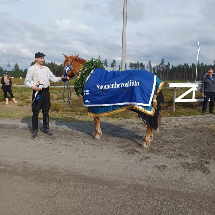 Suomenhevosliitto ry