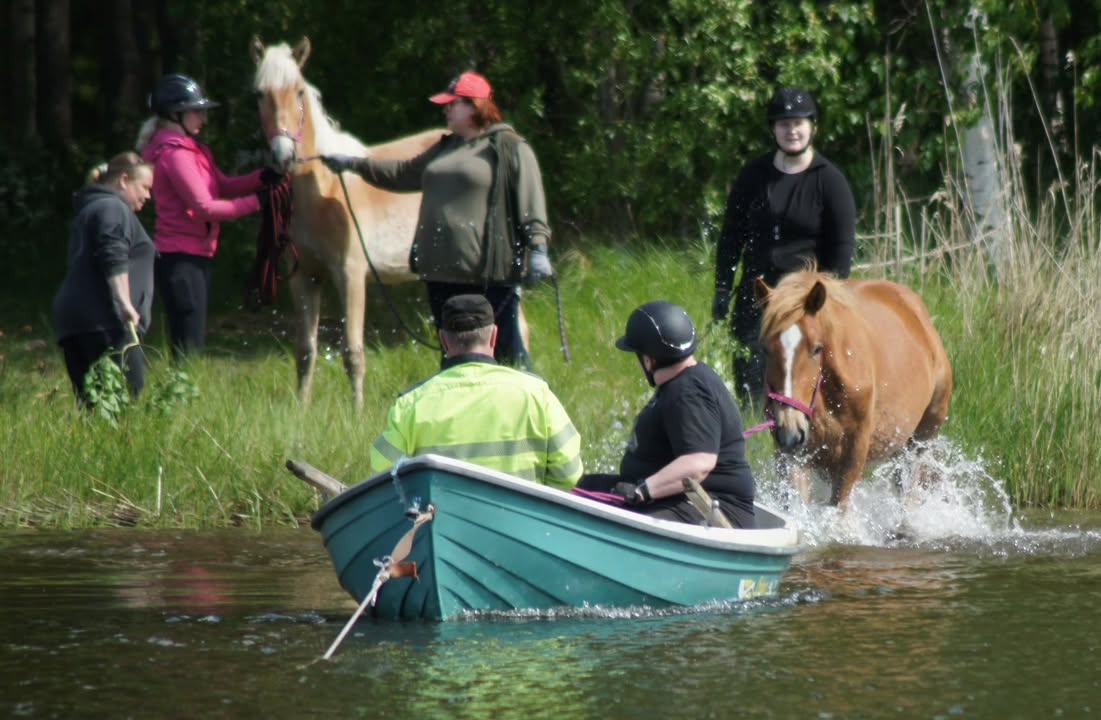 Suomenhevosliitto ry