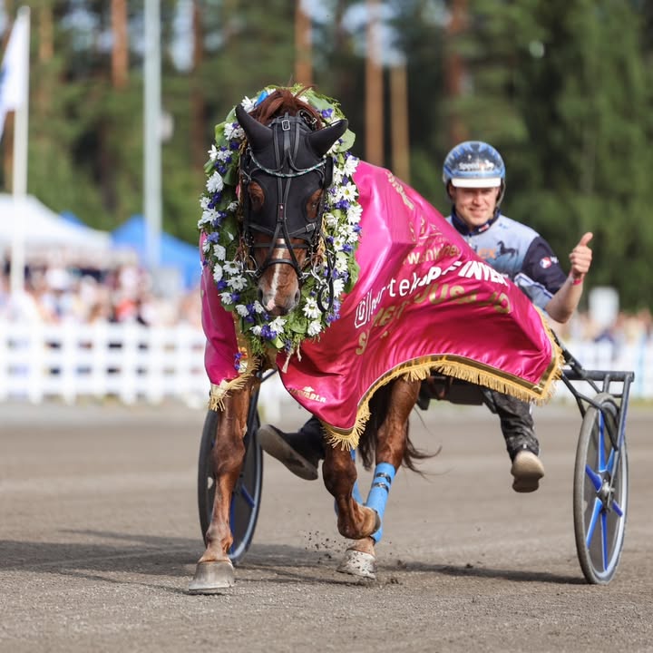 Suomenhevosliitto ry