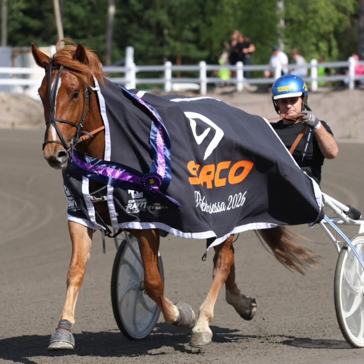 Suomenhevosliitto ry