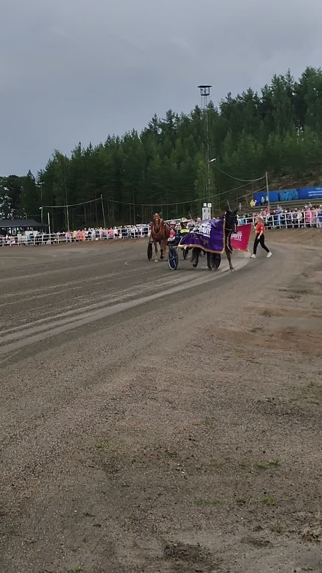 Suomenhevosliitto ry