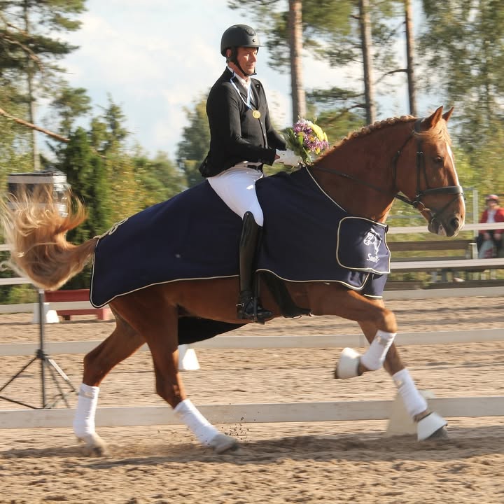 Suomenhevosliitto ry