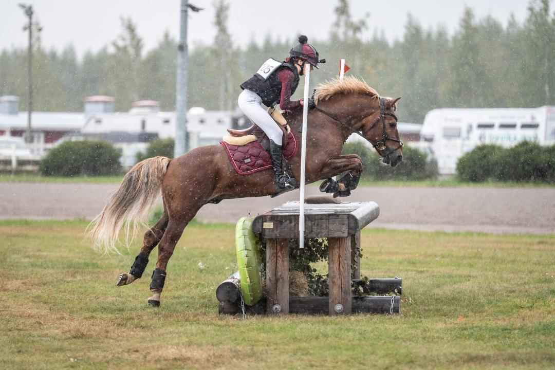 Suomenhevosliitto ry