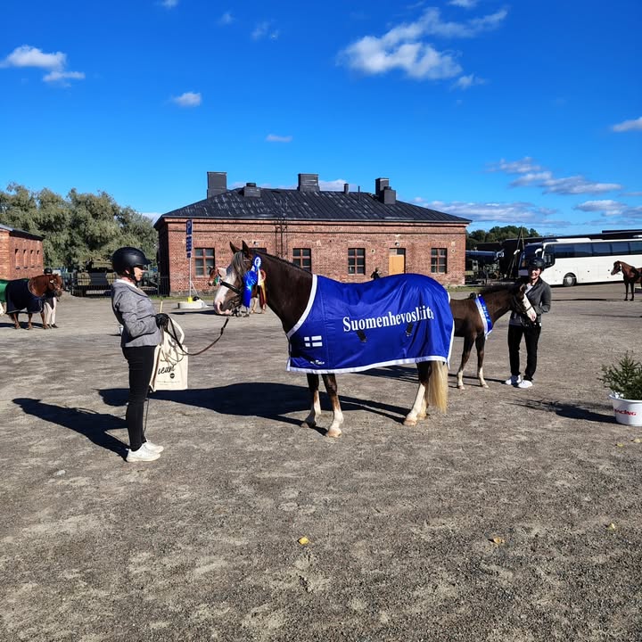 Suomenhevosliitto ry