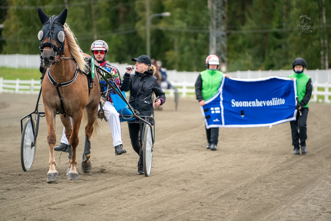 Suomenhevosliitto ry