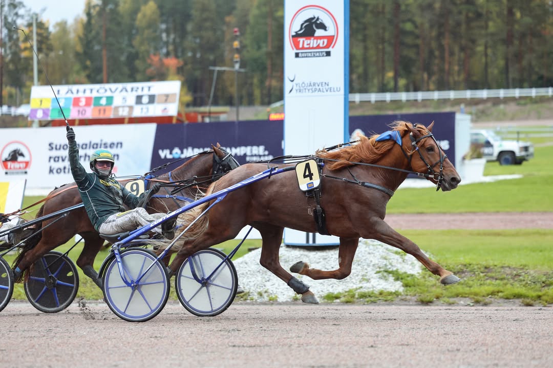 Suomenhevosliitto ry
