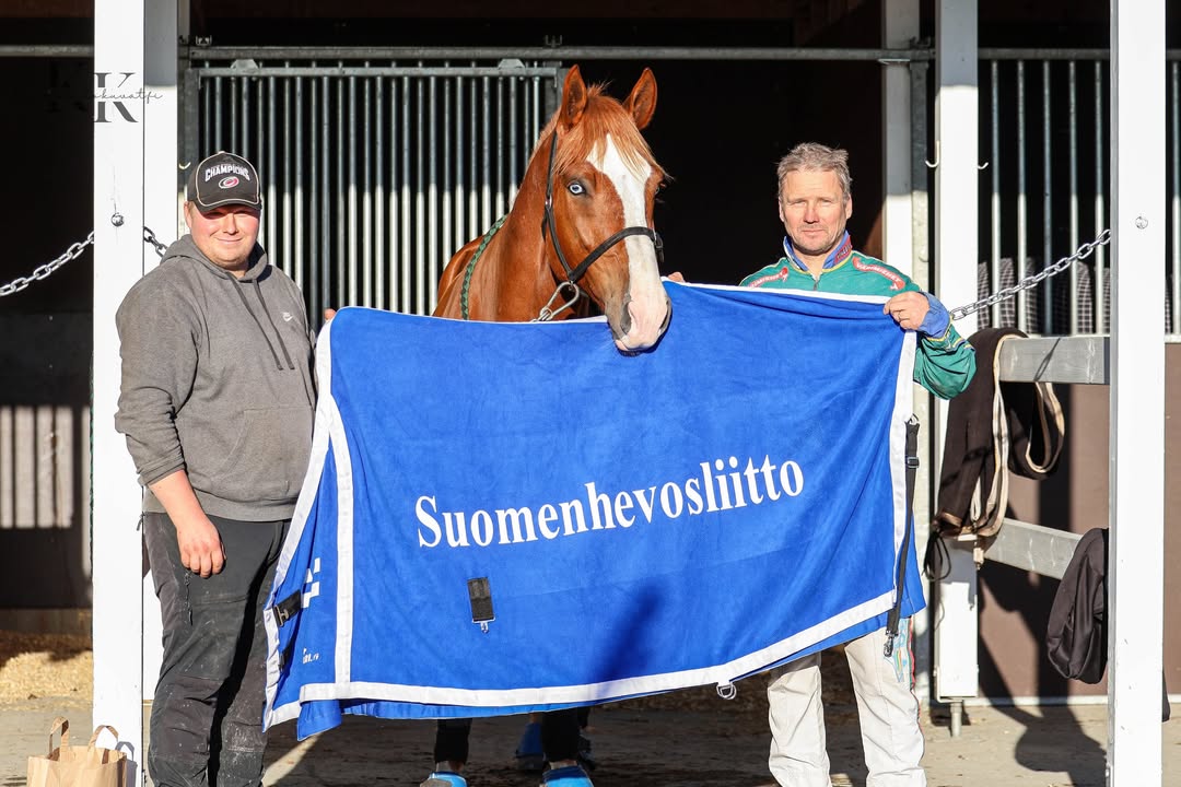 Suomenhevosliitto ry